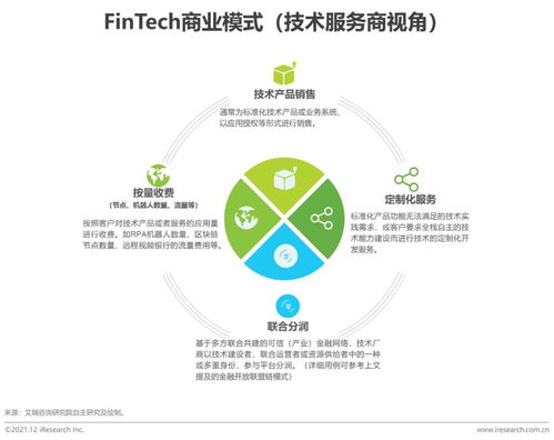 2021年中國金融科技行業(yè)發(fā)展洞察報告 網(wǎng)絡技術(shù)服務視角